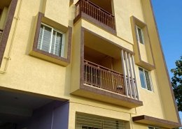 Star Windows (12)