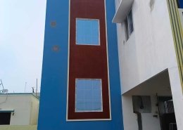 Star Windows (14)