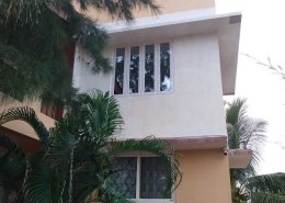 Star Windows (19)