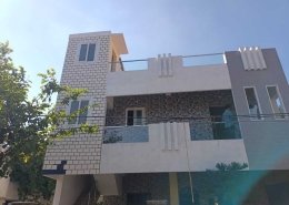 Star Windows (20)