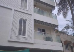 Star Windows (25)