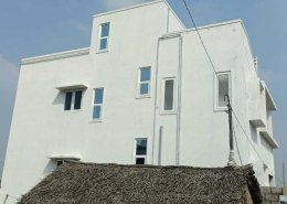 Star Windows (29)