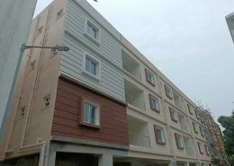 Star Windows (38)