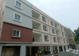 Star Windows (40)